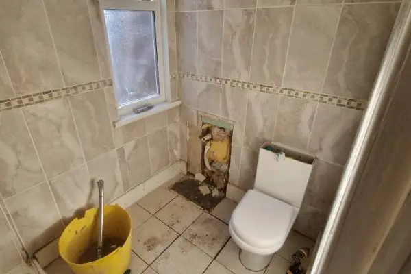 sja image 13